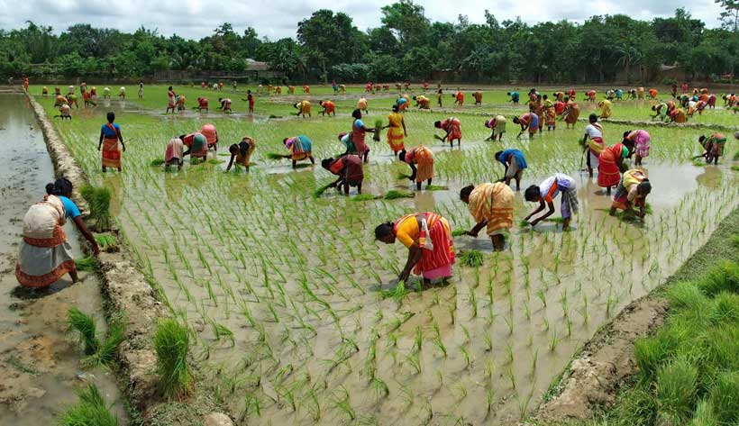  جنوبی ایشیاء  میں  زراعت شدید متاثر ہونے کا خدشہ