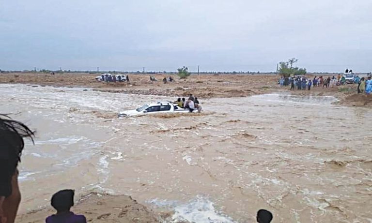 سیلاب کے باعث غذائی بحران کا خدشہ،بلوچستان اور سندھ میں کپاس،چاول سمیت،سبزیوں اور پھلوں کی فصل تباہ،بھارت سے پیاز اور ٹماٹر درآمد کرنے پر غور