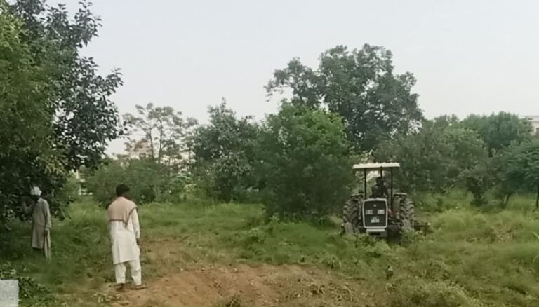 پی ایچ اے کا صحافی کالونی کے قبرستان میں صفائی آپریشن